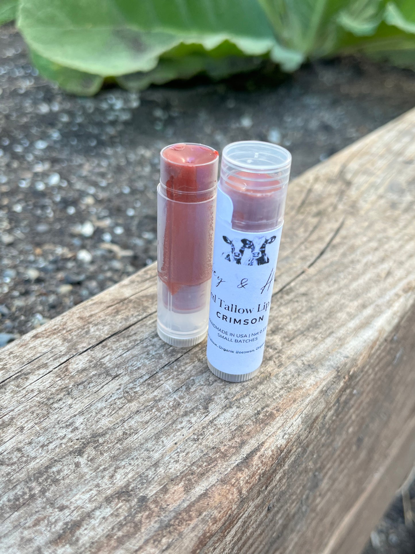 Tinted Tallow Lip Balm