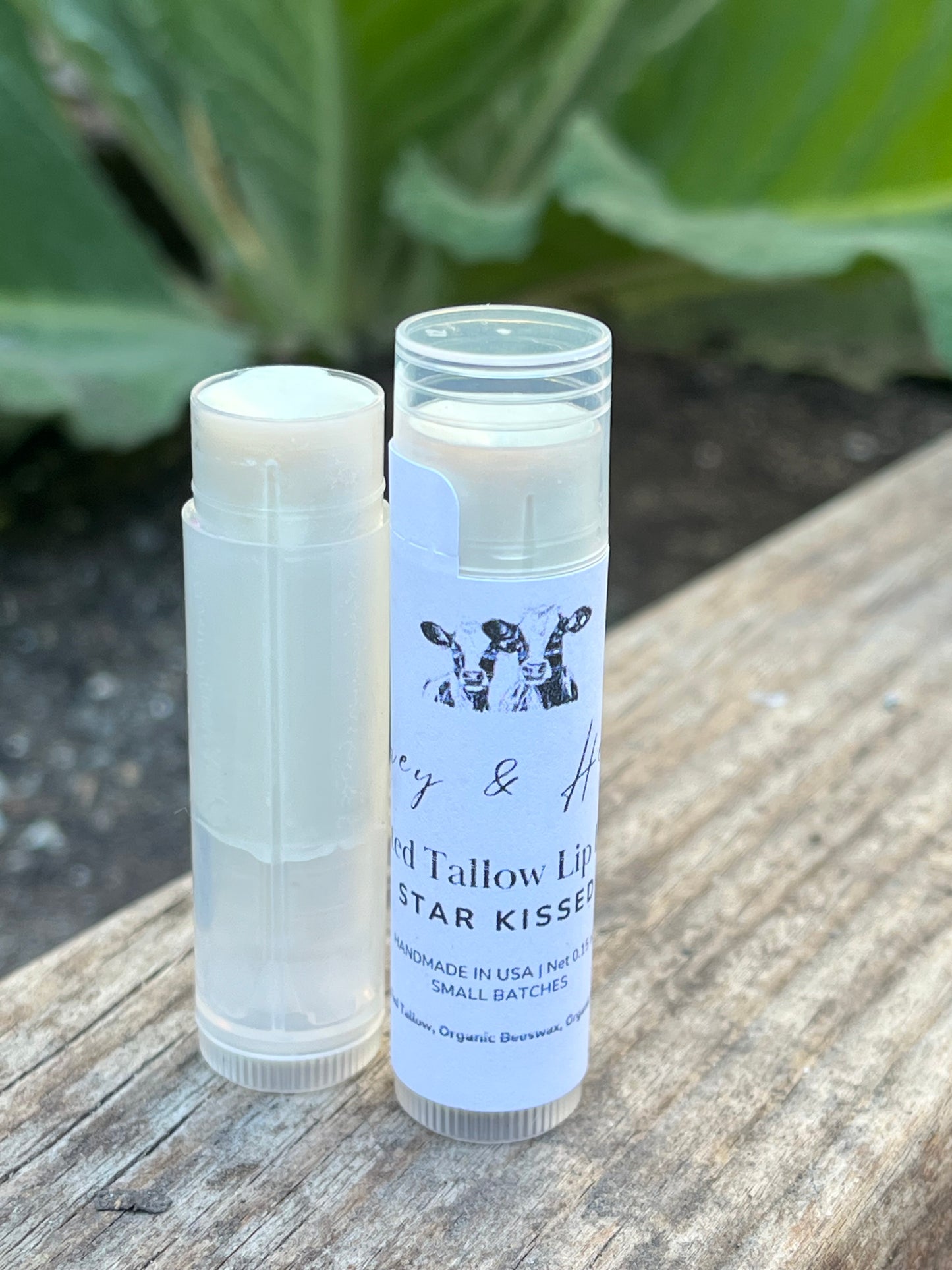 Tinted Tallow Lip Balm