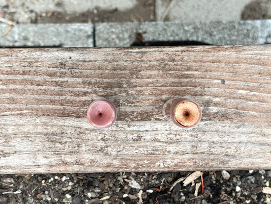 Tinted Tallow Lip Balm