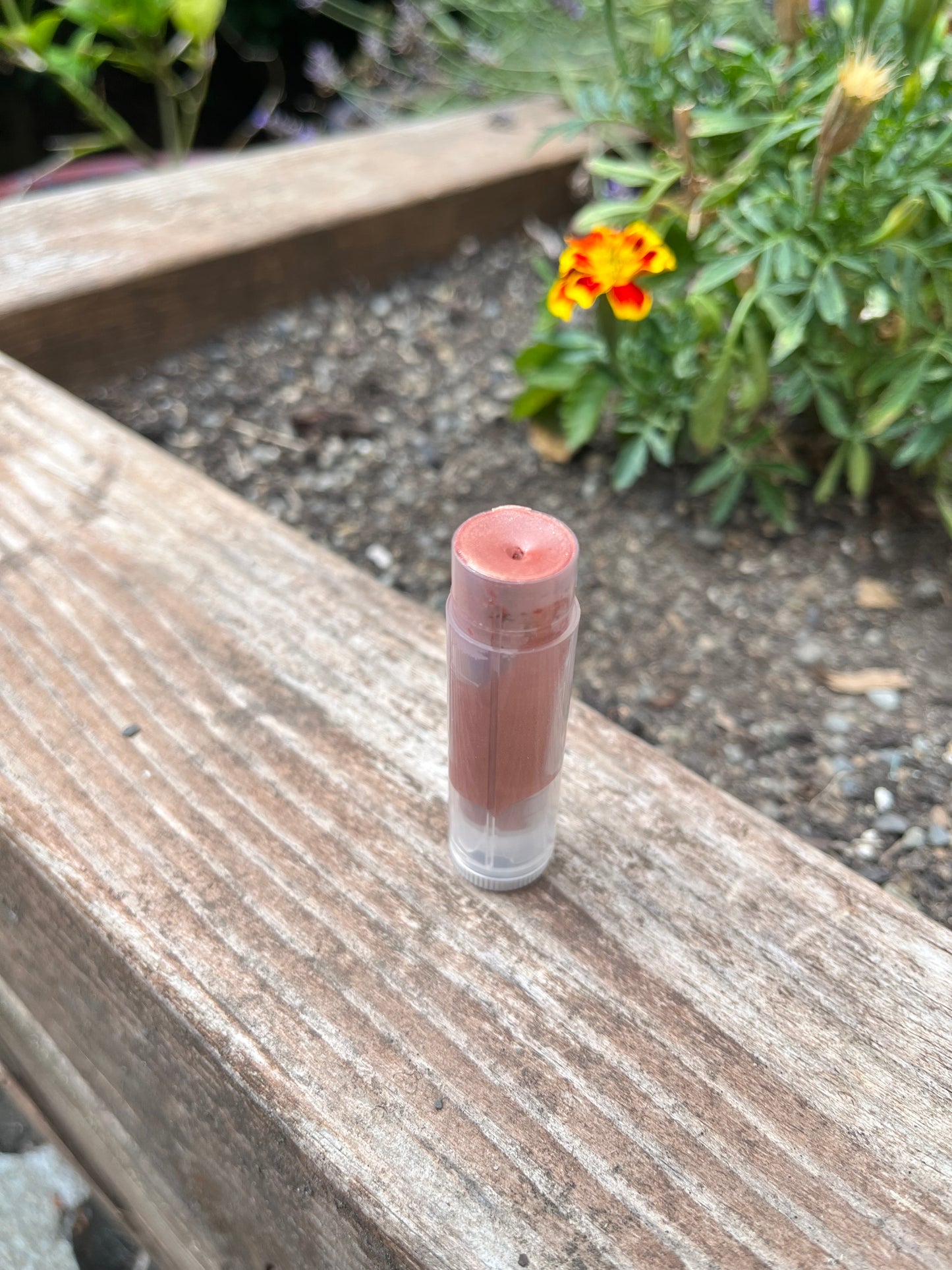 Tinted Tallow Lip Balm