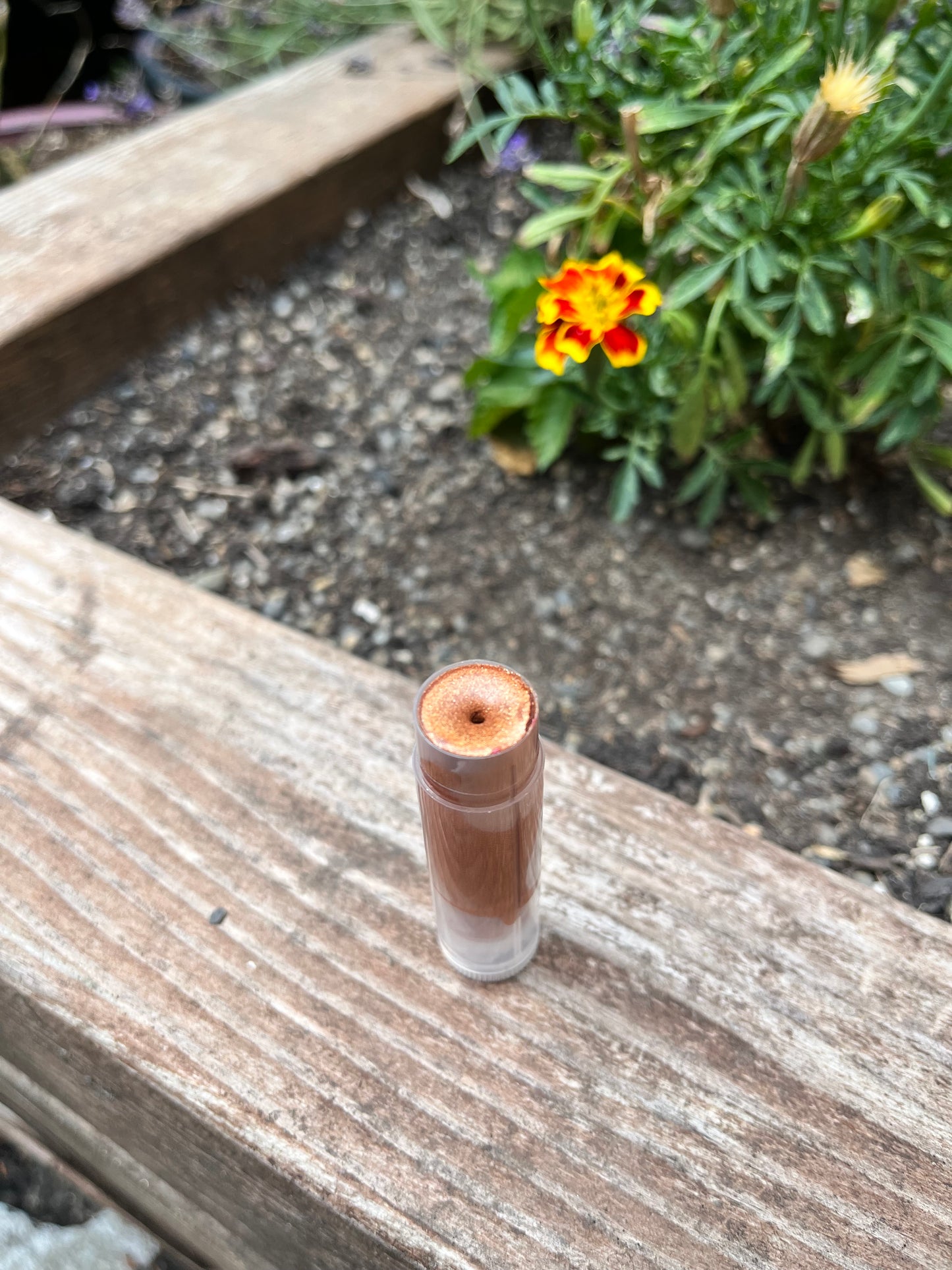 Tinted Tallow Lip Balm