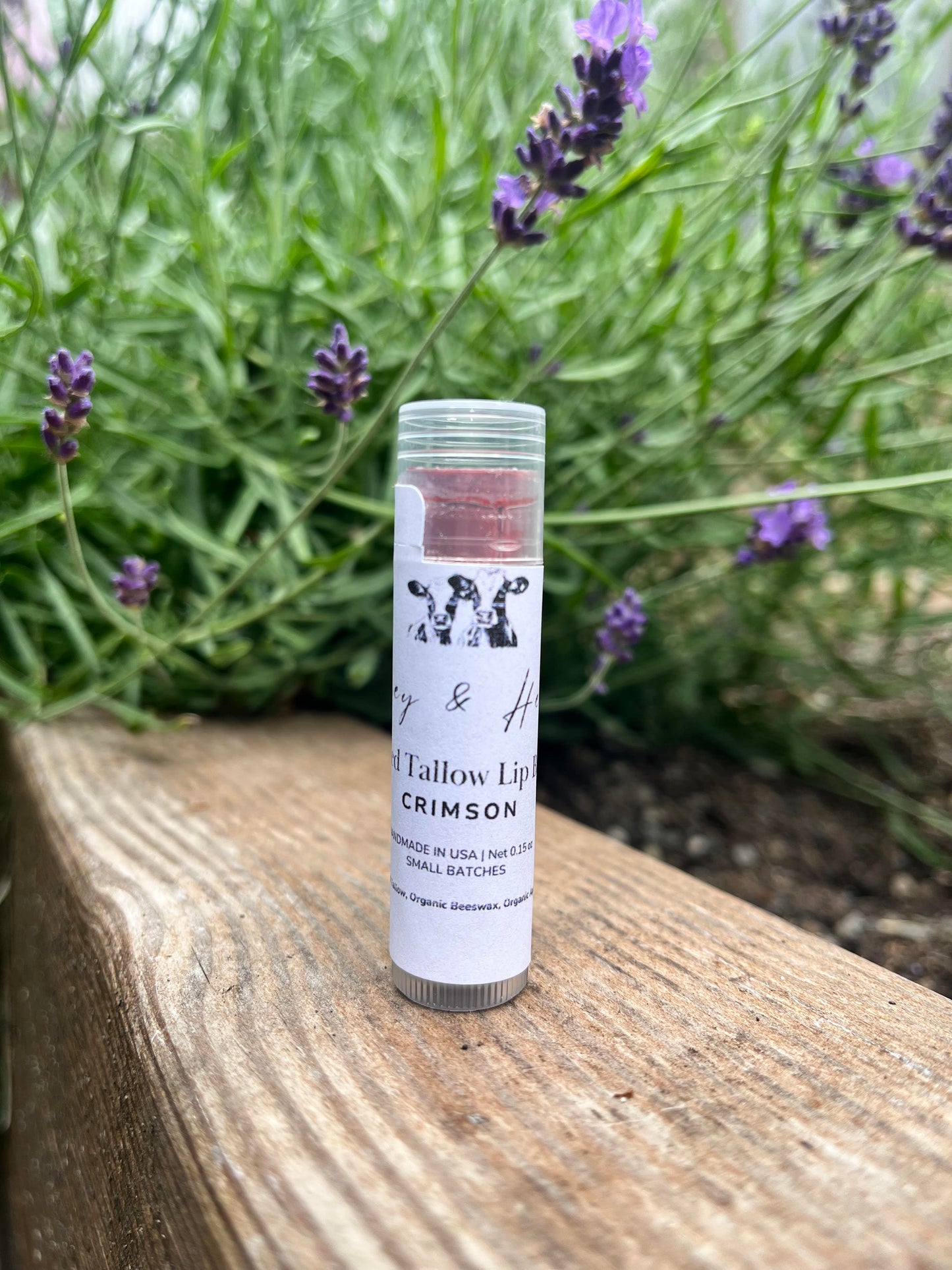 Tinted Tallow Lip Balm