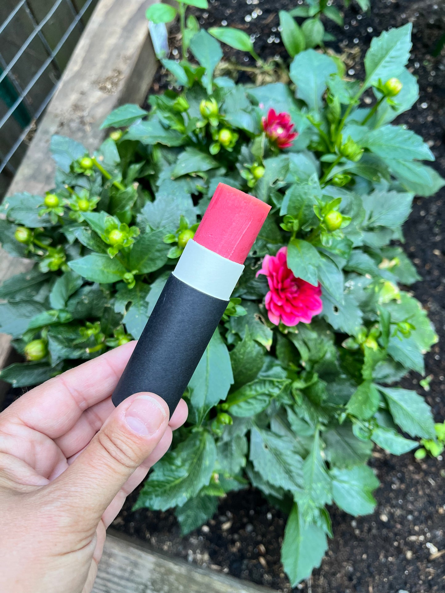 Tallow Blush Stick