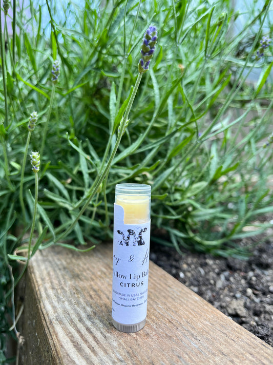 Tallow Lip Balm